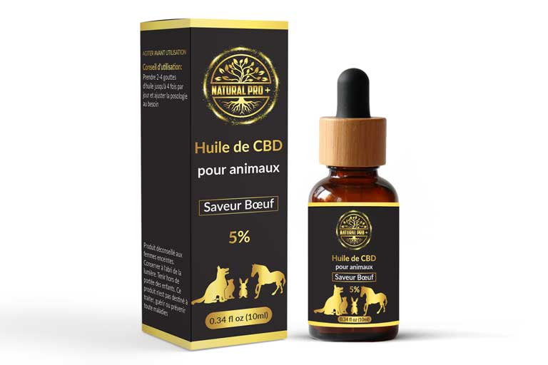 Huile CBD 5% MCT Animaux NP+ - HoRuS - Boulogne sur Gesse - Midi Pyérénées - Isle en Dodon - Saint Gaudens